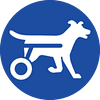 The Importance of a Dog Wheelchair for Dogs with DM
